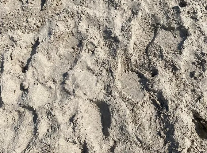 Apartamento Pomarańczowy - Kawalerka W śródmieściu Kołobrzeg