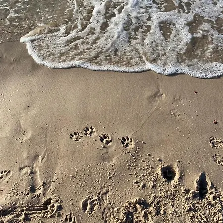 Pomaranczowy - Kawalerka W Srodmiesciu * كولوبرزيغ