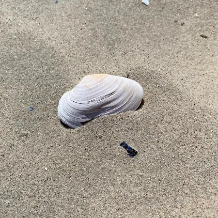 아파트 Pomaranczowy - Kawalerka W Srodmiesciu