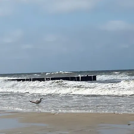 Pomaranczowy - Kawalerka W Srodmiesciu *