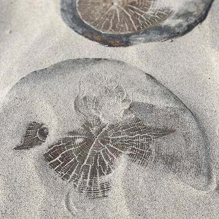 Pomaranczowy - Kawalerka W Srodmiesciu كولوبرزيغ