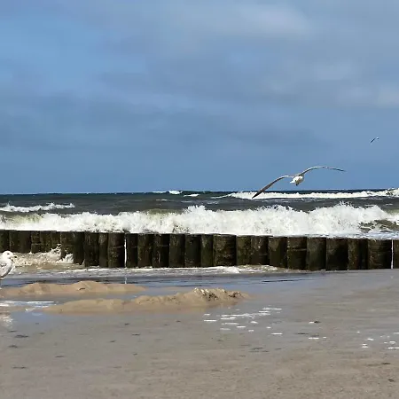 Pomaranczowy - Kawalerka W Srodmiesciu *