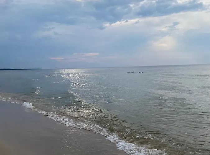 Pomaranczowy - Kawalerka W Srodmiesciu * 코워브제크