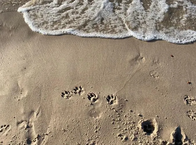 Pomaranczowy - Kawalerka W Srodmiesciu * 코워브제크