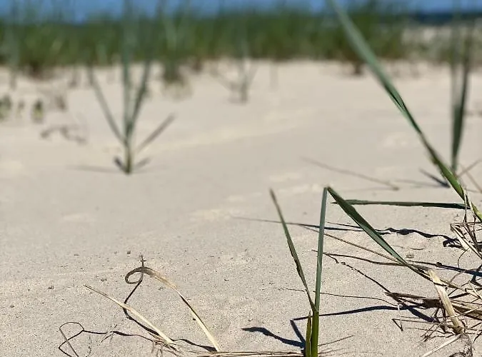 Pomaranczowy - Kawalerka W Srodmiesciu