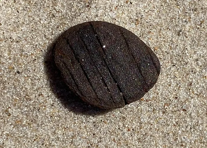 Pomaranczowy - Kawalerka W Srodmiesciu 아파트 *