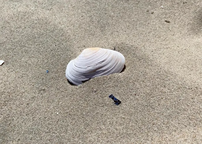 아파트 Pomaranczowy - Kawalerka W Srodmiesciu