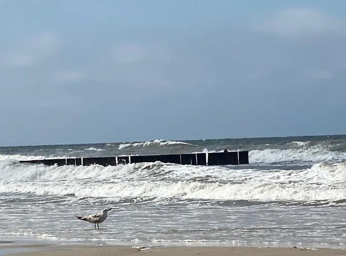 Pomaranczowy - Kawalerka W Srodmiesciu *