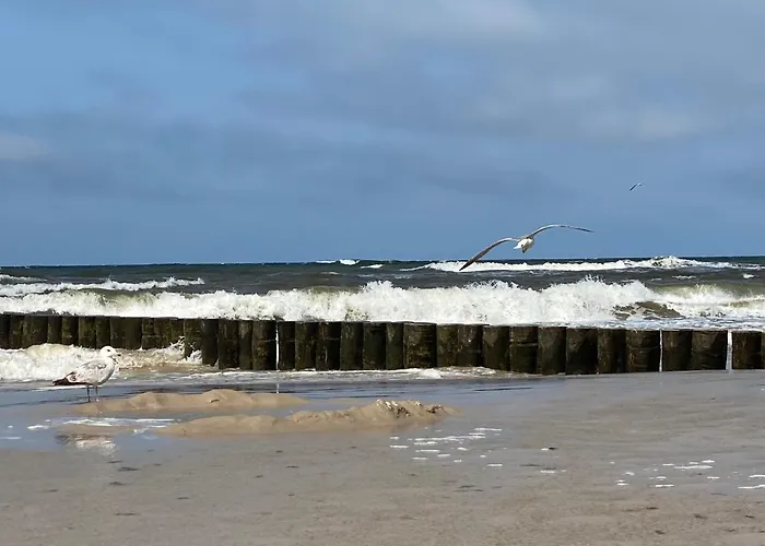 Pomaranczowy - Kawalerka W Srodmiesciu *